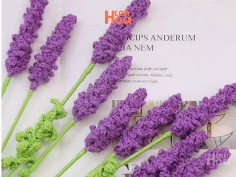 Hoa lavender biểu tượng tình yêu