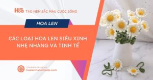 các loại hoa len