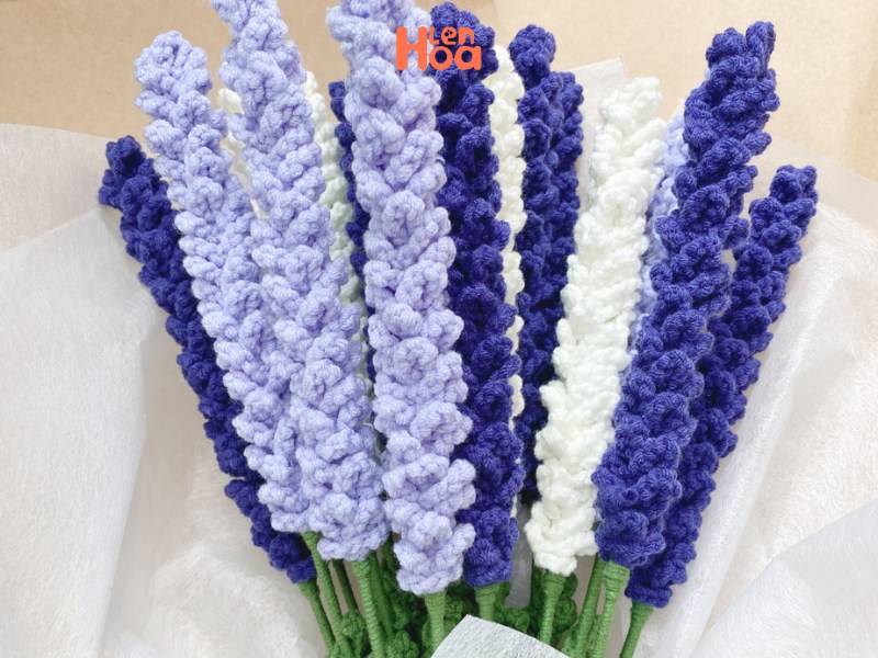 bó hoa len màu xanh