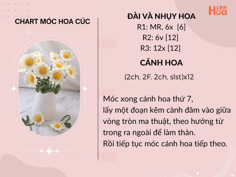 Chart móc hoa cúc họa mi