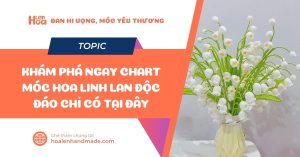 Khám Phá Ngay Chart Móc Hoa Linh Lan Độc Đáo